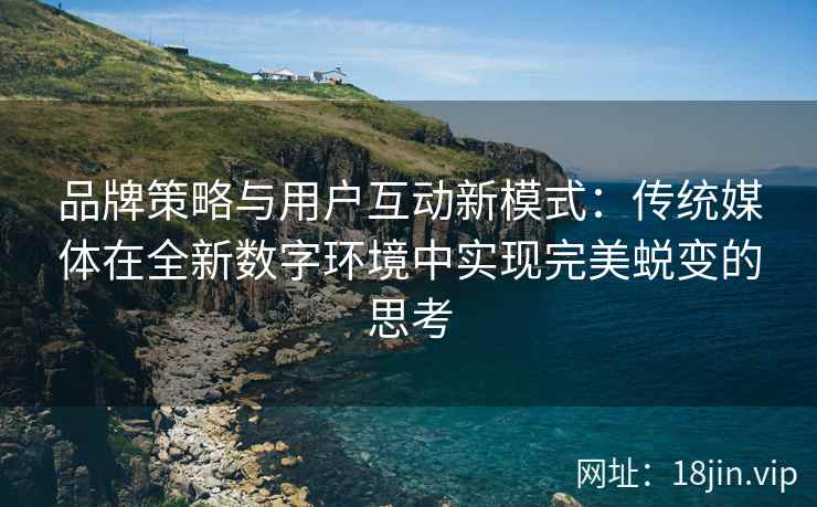 品牌策略与用户互动新模式：传统媒体在全新数字环境中实现完美蜕变的思考