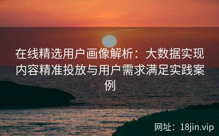 在线精选用户画像解析：大数据实现内容精准投放与用户需求满足实践案例