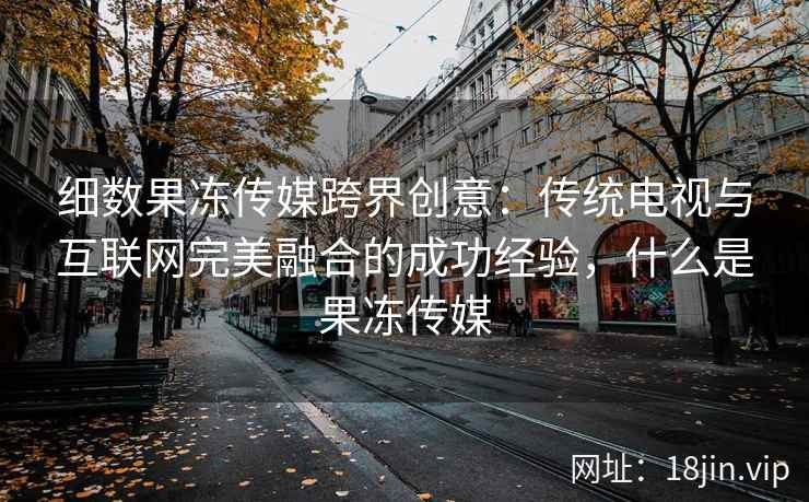 细数果冻传媒跨界创意：传统电视与互联网完美融合的成功经验，什么是果冻传媒