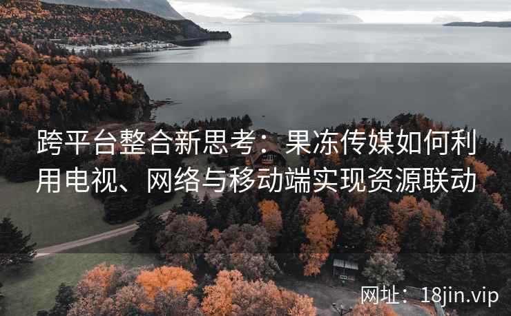 跨平台整合新思考：果冻传媒如何利用电视、网络与移动端实现资源联动