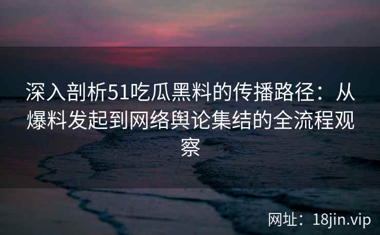 深入剖析51吃瓜黑料的传播路径：从爆料发起到网络舆论集结的全流程观察