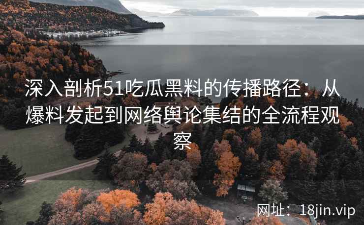 深入剖析51吃瓜黑料的传播路径：从爆料发起到网络舆论集结的全流程观察