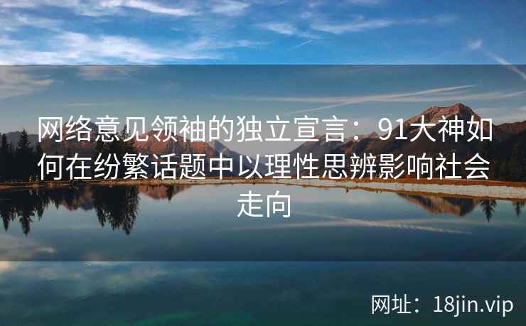 网络意见领袖的独立宣言：91大神如何在纷繁话题中以理性思辨影响社会走向