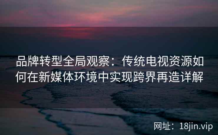 品牌转型全局观察：传统电视资源如何在新媒体环境中实现跨界再造详解