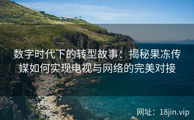 数字时代下的转型故事：揭秘果冻传媒如何实现电视与网络的完美对接