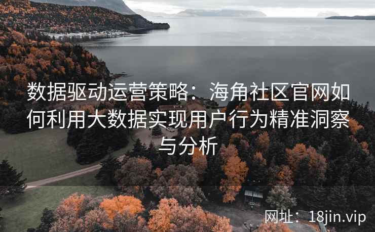 数据驱动运营策略：海角社区官网如何利用大数据实现用户行为精准洞察与分析