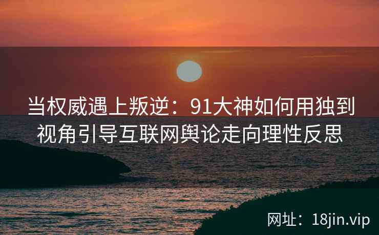 当权威遇上叛逆：91大神如何用独到视角引导互联网舆论走向理性反思