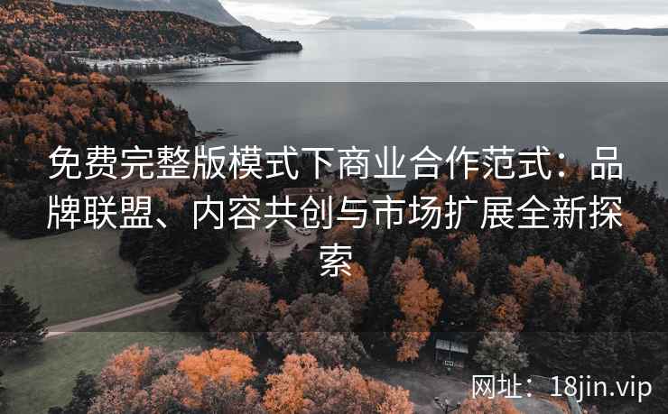 免费完整版模式下商业合作范式：品牌联盟、内容共创与市场扩展全新探索